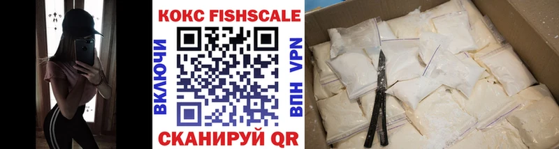 Кокаин Fish Scale  мега сайт  Арамиль 