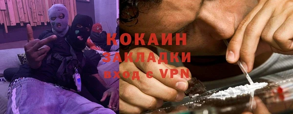 дмт Алзамай