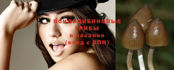 шишки Алексин
