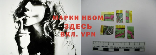 дмт Алзамай