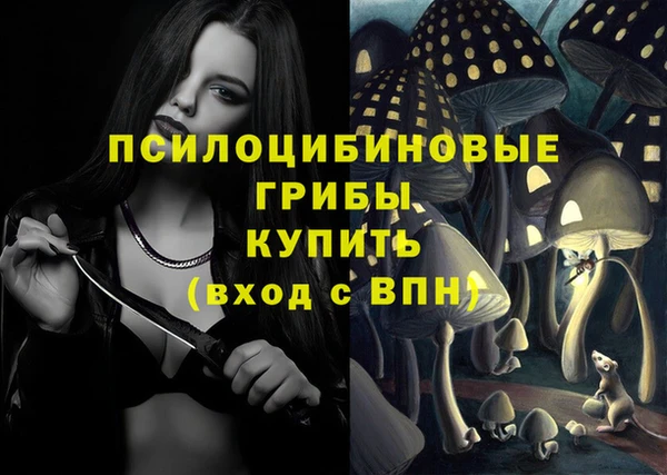 спиды Алексеевка