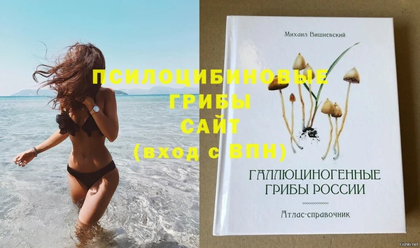 спиды Алексеевка