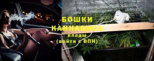 спиды Алексеевка